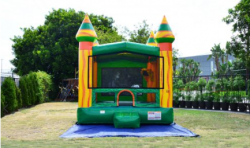 Tropical Amazon River Bounce House 13' x 13'