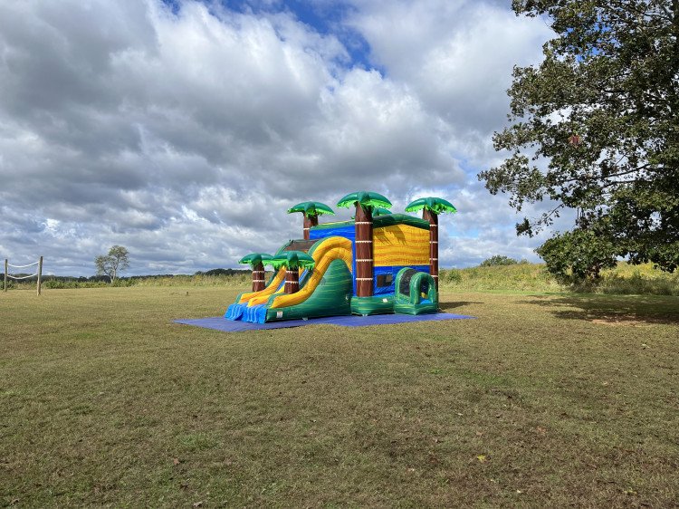 Tropical Oasis Dual Lane Water Slide with Beach Bounce House