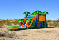 IMG 0868 1710121862 Tropical Oasis Dual Lane Water Slide with Beach Bounce House