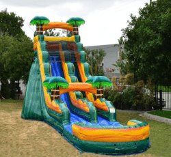 19' Slide Cali Palms